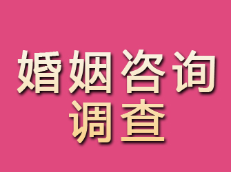 潢川婚姻咨询调查